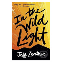 In the Wild Light - Jeff Zentner - kniha z kategorie Beletrie pro děti