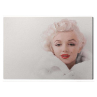 Obraz na plátně Marilyn Monroe - White, 2 - 50×40 cm