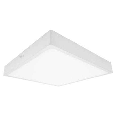Palnas stropní LED svítidlo Egon čtverec bílý 61003672