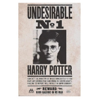 Plakát Harry Potter - Undesirable n°1