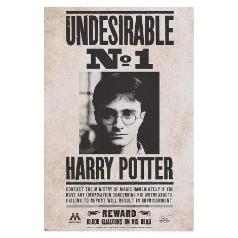 Plakát Harry Potter - Undesirable n°1 ABY STYLE