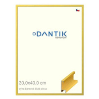 DANTIK rámeček 30 × 40, ALU profil 6035 Dýha barevný žlutý citrus plexi čiré