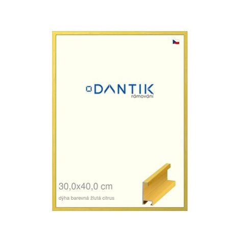 DANTIK rámeček 30 × 40, ALU profil 6035 Dýha barevný žlutý citrus plexi čiré