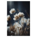 Fotografie Dry Pastel Flowers No 1, Treechild, 26.7 × 40 cm