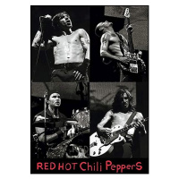 Plakát, Obraz - Red hot chili peppers Live, 61 × 91.5 cm