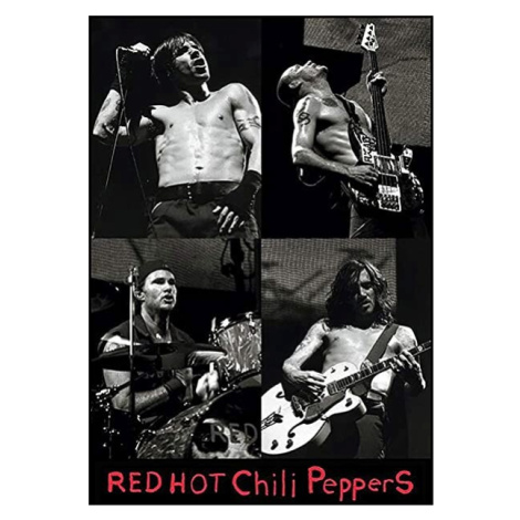 Plakát, Obraz - Red hot chili peppers Live, (61 x 91.5 cm) Pyramid