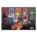 Plakát Naruto Shippuden - Naruto & Allies (38)