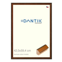 DANTIK rámeček 42 × 59,4, INCLINATA colori hnědý plexi čiré