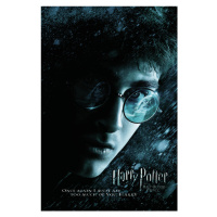 Umělecký tisk Harry Potter and The Half-Blood Prince, (26.7 x 40 cm)