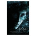 Umělecký tisk Harry Potter and The Half-Blood Prince, 26.7x40 cm