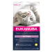 Eukanuba Healthy Start Kitten - Výhodné balení: 3 x 2 kg