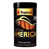 Tropical America M 250 ml 150 g