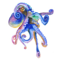 Ilustrace Blue Marine Octopuss, Isabelle Brent, 30 × 40 cm