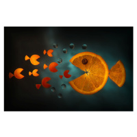 Fotografie Orange fish, Aida Ianeva, 40x26.7 cm