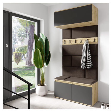 Eka Předsíňová stěna s čalouněnými panely Trinity 23 - Dub Artisan s černou / Tmavá hnědá 2308