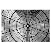 Fotografie Look up, Inge Schuster, 40 × 26.7 cm