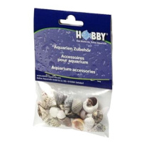 Hobby Sea Shells Set S 20 ks