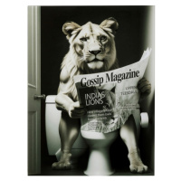 KARE Design Skleněný obraz Bath Lioness 60x80cm