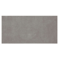 Dlažba Graniti Fiandre FJORD GREY SL 60X120 cm R10 AS209X864R10