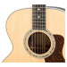 Taylor Legacy 855e