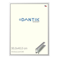 DANTIK rámeček 30 × 40, ALU profil 7269 Stříbrný lesklý plexi čiré