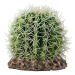 Hobby Kaktus Sonora M 15 × 15 × 13 cm