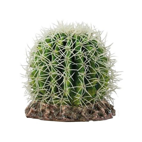 Hobby Kaktus Sonora M 15 × 15 × 13 cm