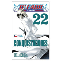 Bleach 22