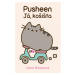 Pusheen Já, košišta