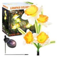 FLD-24 | Solární květina | Narcis narcis zahradní solární lampa LED | 67 cm, 600 mAh