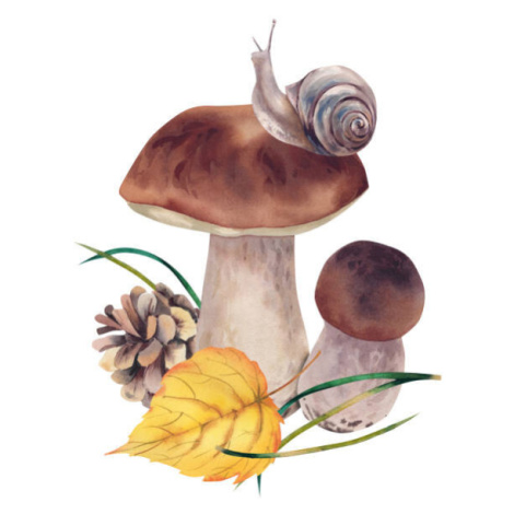 Fotografie Porcini mushrooms with autumn leaves, snail, Marina  Skryzhova, (40 x 40 cm)