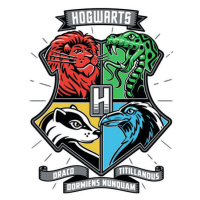 Umělecký tisk Harry Potter - Hogwarts houses, (26.7 x 40 cm)