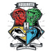 Umělecký tisk Harry Potter - Hogwarts houses, 26.7x40 cm