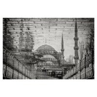 Fotografie The Blue Mosque II, Bruno Kolovrat, (40 x 26.7 cm)