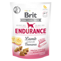 Brit Care Dog Functional Snack Endurance Lamb 150 g