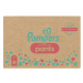 Pampers Premium Care Monthly Box vel. 7 17+ kg kalhotkové plenky 80 ks