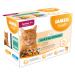 IAMS Delights Senior mořské a suchozemské maso v omáčce kapsičky multipack 12x85 g