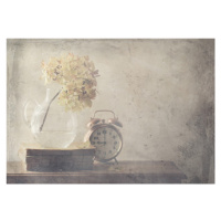 Fotografie Disillusionment of Nine Oa??Clock, Delphine Devos, 40 × 26.7 cm