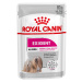 Royal Canin Exigent Mousse - 12 x 85 g