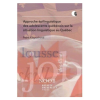 Approche épilinguistique des adolescents québécois sur la situation linguistique au Québec