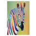 Malba podle čísel Zebra 40 x 50