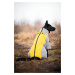 Vsepropejska Plex zimní bunda pro psa Barva: Žlutá, Délka zad (cm): 56, Obvod hrudníku: 60 - 68 