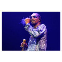 Fotografie Concert Snoop Dogg, picture alliance, 40 × 26.7 cm