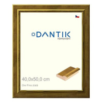 DANTIK rámeček 40 × 50, Oro Fino zlatý plexi čiré