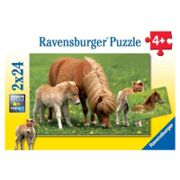 Ravensburger 08994 puzzle roztomilí poníci 2x24 dílků