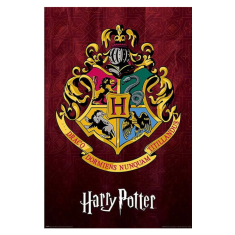 Plakát Harry Potter - Bradavická škola čar a kouzel Pyramid