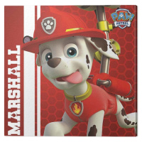 Obraz na plátně Paw Patrol - Marshall Ready to Rescue, 2 - 40×40 cm