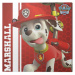 Obraz na plátně Paw Patrol - Marshall Ready to Rescue, 2 - 40×40 cm