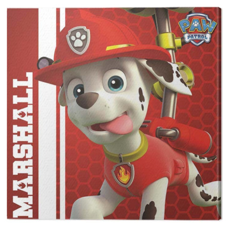 Obraz na plátně Paw Patrol - Marshall Ready to Rescue, 2 - 40×40 cm Pyramid