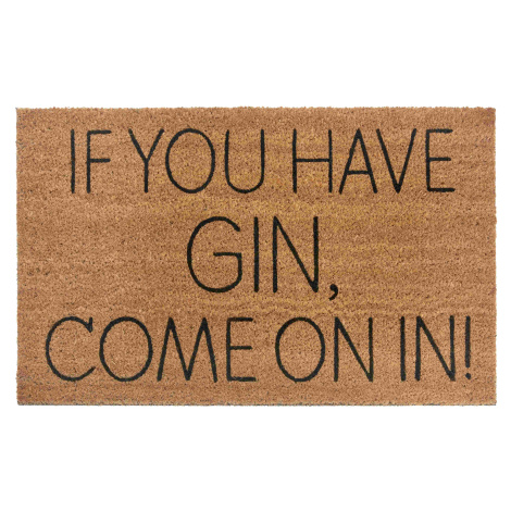 Hanse Home Collection koberce Rohožka If you have gin, come on in 105661 - 45x75 cm